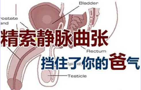 為什么蛋蛋經(jīng)常濕噠噠，又不好意思跟人說....(圖2)